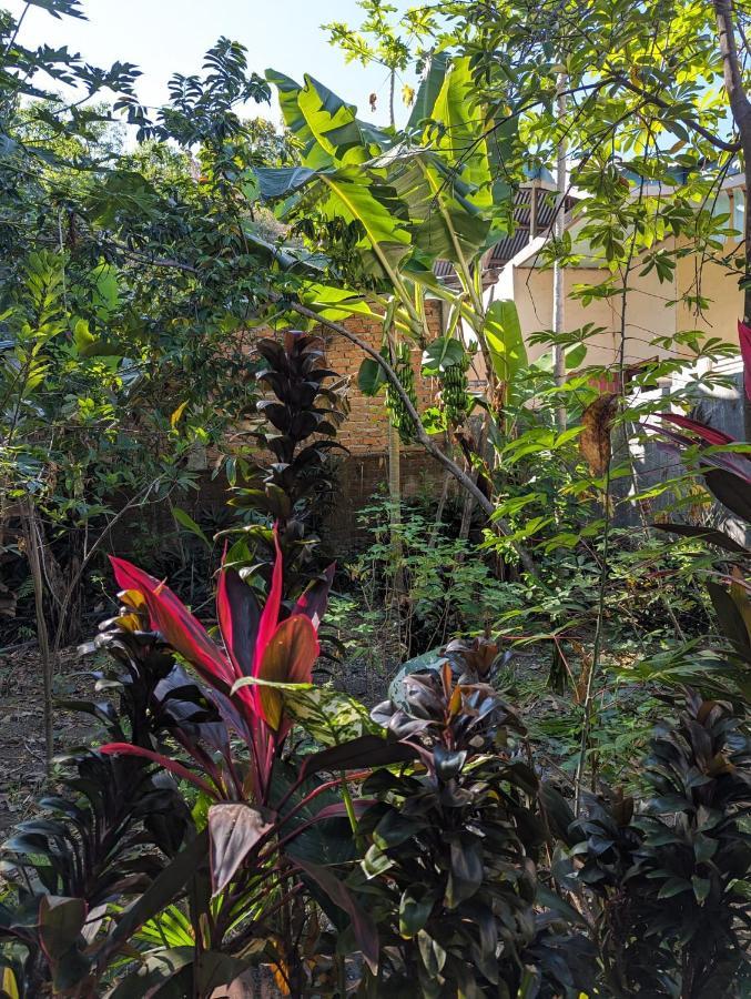 Agus Family Homestay Labuan Bajo Exterior photo